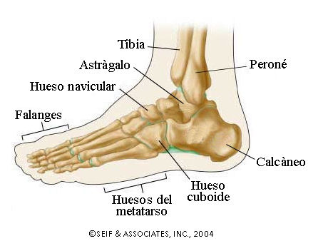 El cáncer de huesos duele