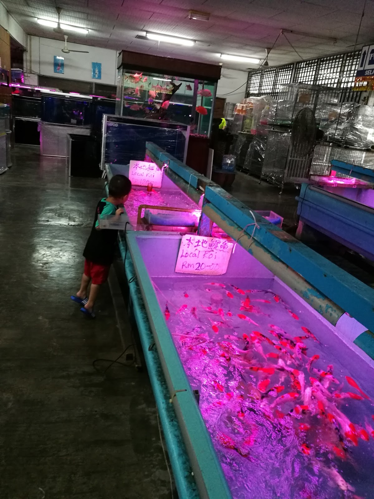 Nanyang Fish Farm, Kulai, Johor