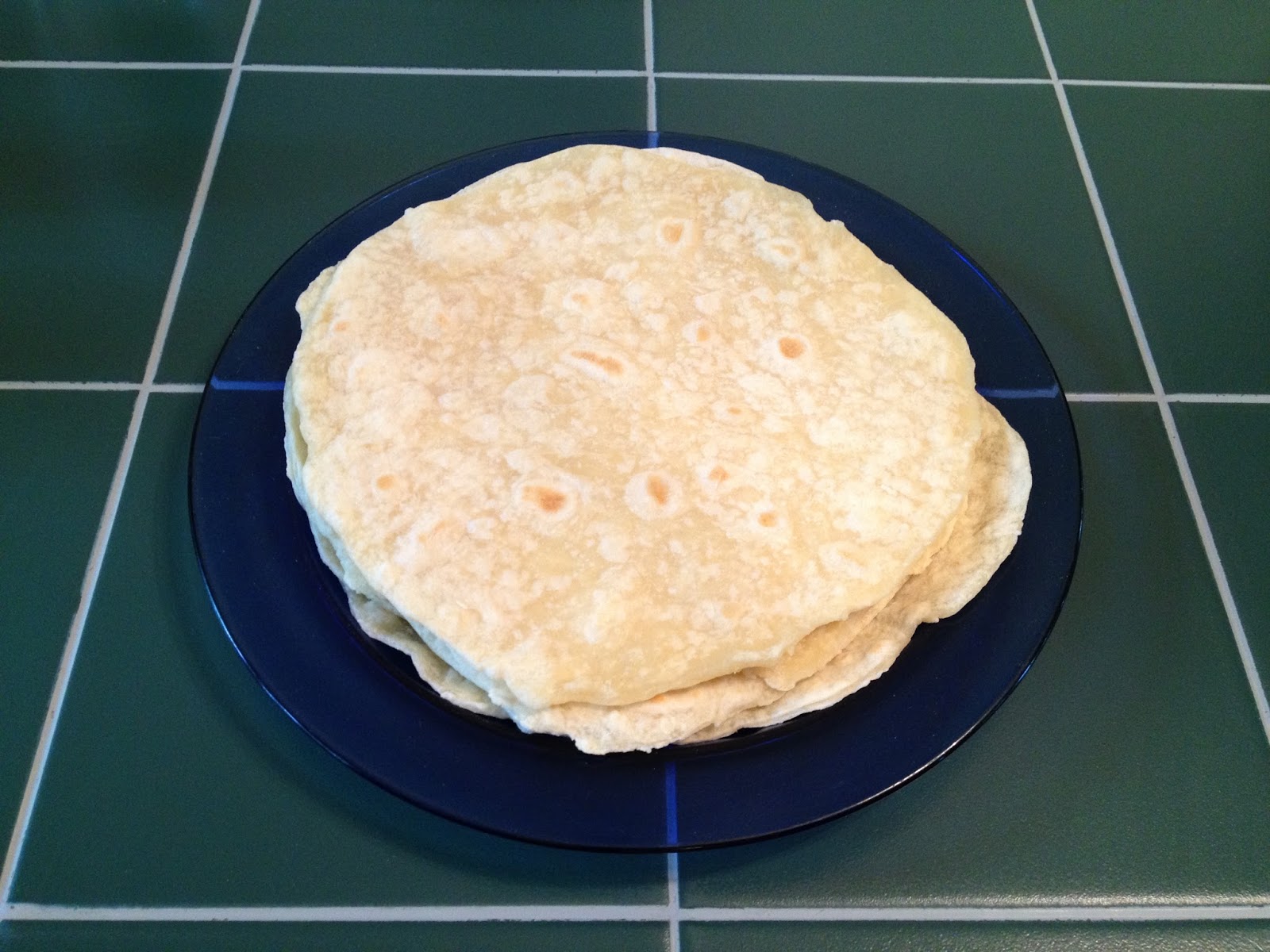 Sensible Recipes Flour Tortillas Recipe (Cornfree)
