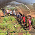 SC DO PAVÃO - ALUNOS DA ESCOLA MUNICIPAL CÍCERO BITTENCOURT RODRIGUES VISITAM VIVEIRO MUNICIPAL NA SEMANA DO DIA DA ÁRVORE