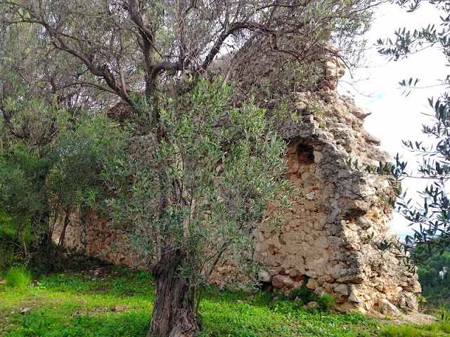 Muralla. Castell del Rebollet