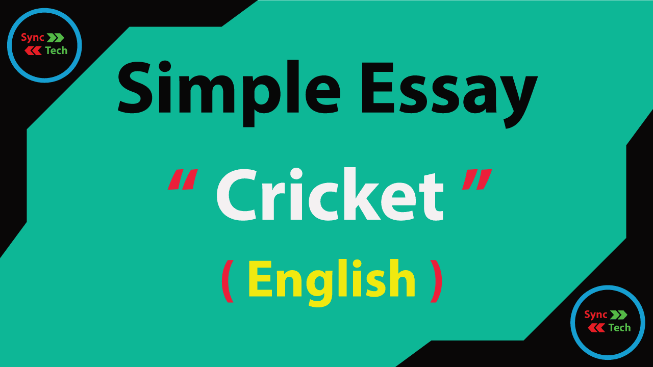 An exciting cricket match essay image