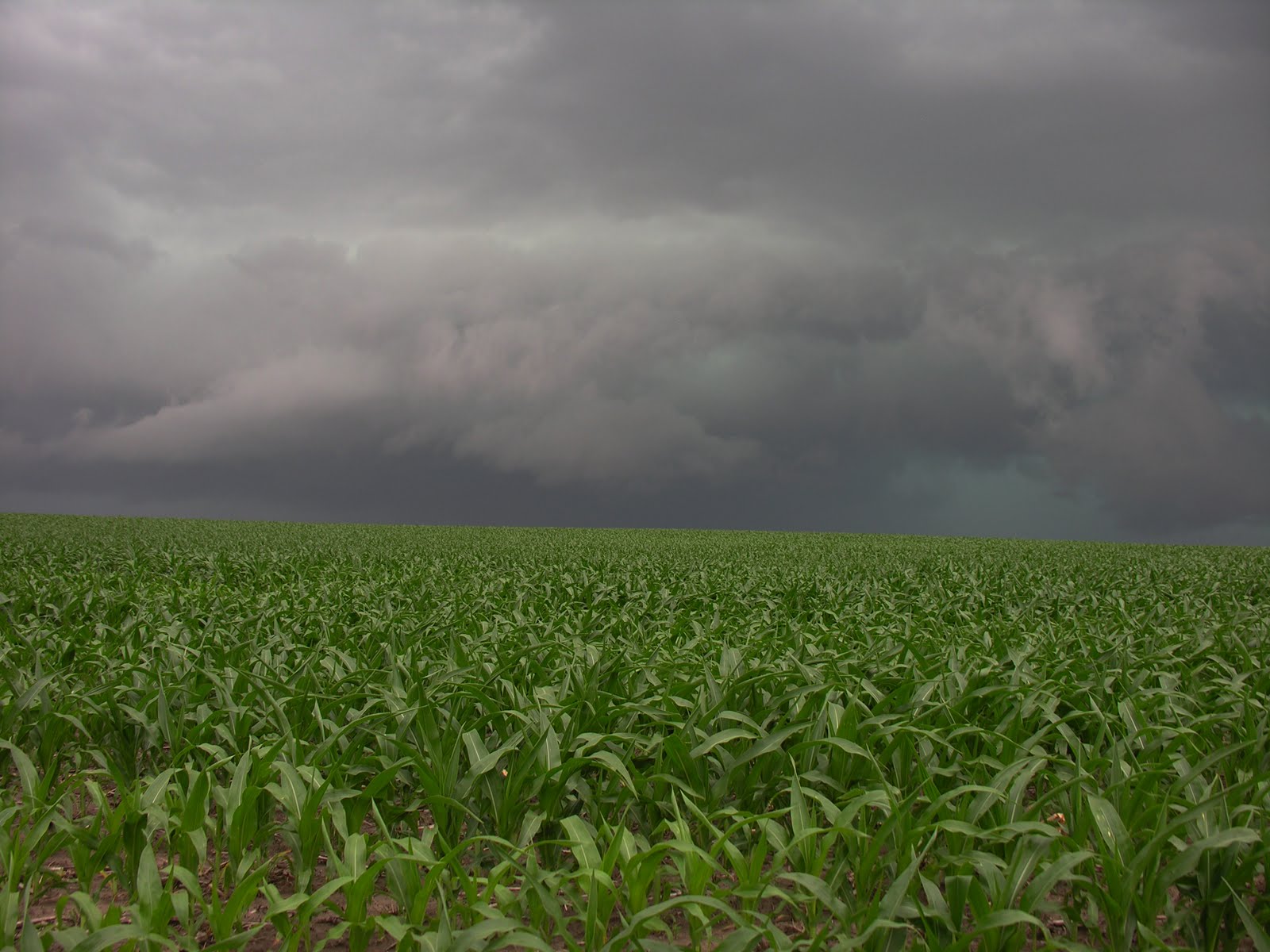 Cal & Rachel Litwiller's Adventures De Smet, SD to Sioux Falls, SD