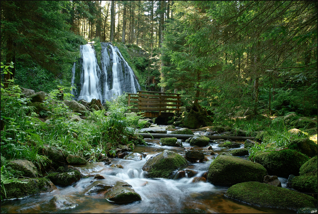 cascade de la Pissoire Photo Paysages Forum Olympus France cascade de la Pissoire Photo Paysages Forum Olympus France