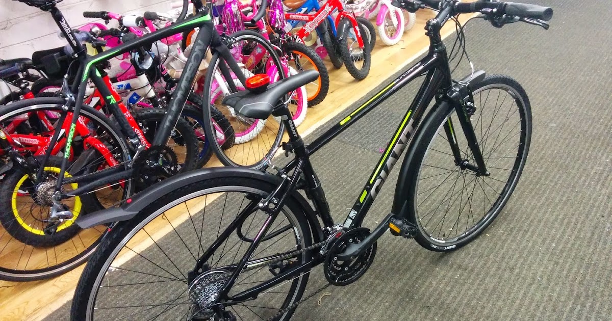 escape bikes ingleton