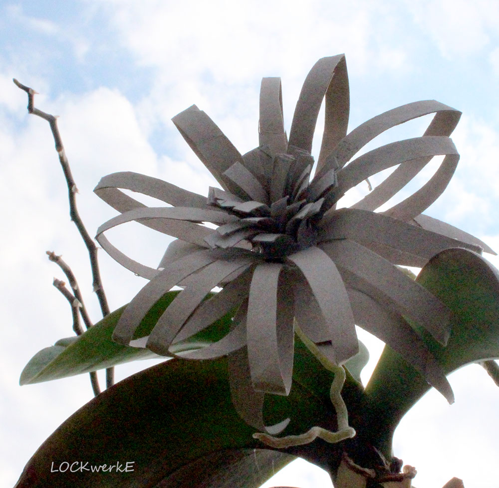 Lockwerke April 2016