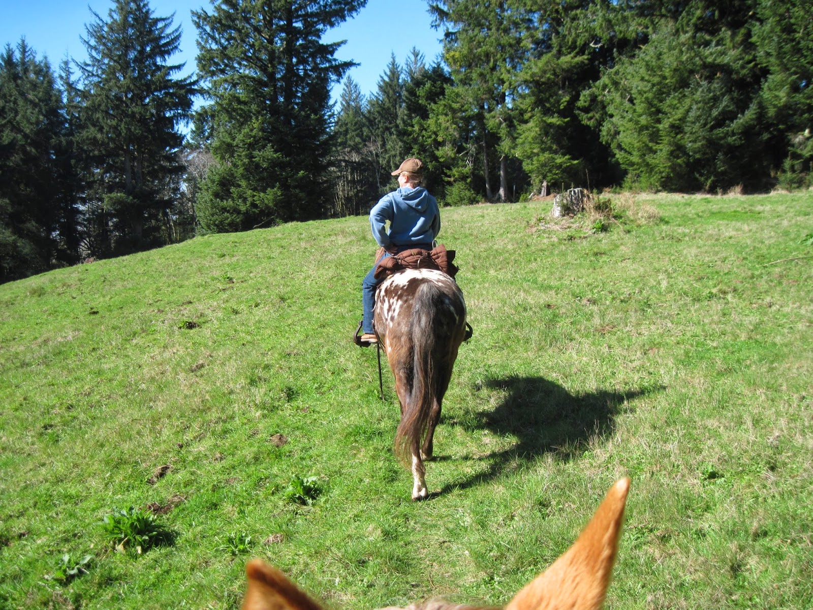 Holly's Horse Tales and Trails Baker Beach Horse Camp and the Cape