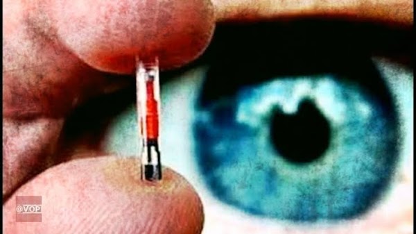 Australia Pondrá Microchips A La Gente Para Mejor Calidad De Vida. Australia Pondrá Microchips A La Gente Para Mejor Calidad De Vida.