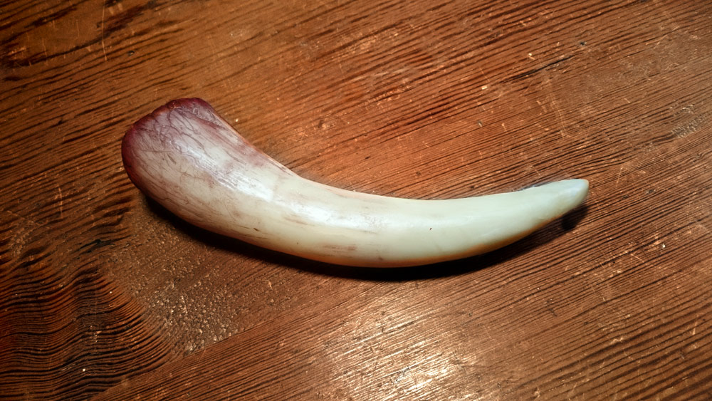 10 Digits Basilisk Tooth