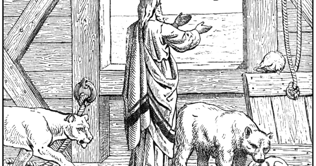 Color Noah Receiving the Dove | Color The Bible