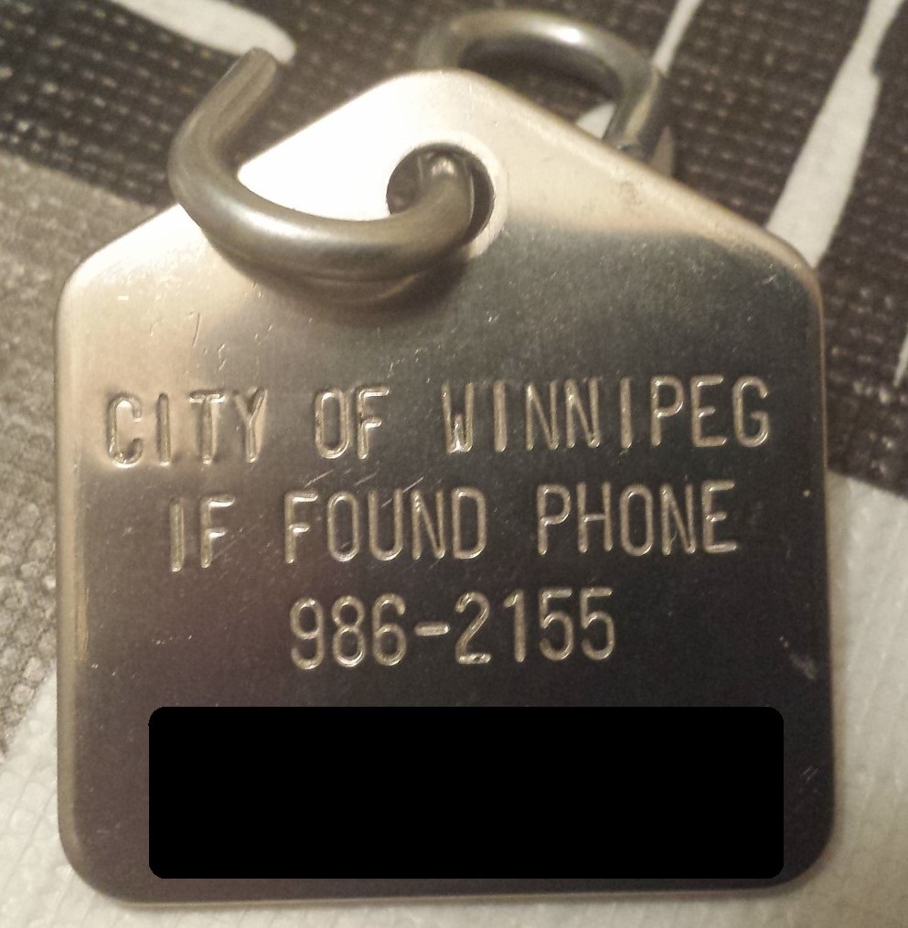 Casal Frozen Winnipeg Canada Dog License