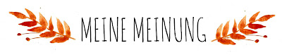 Meine Meinung Onyx Jennifer L. Armentrout Buch