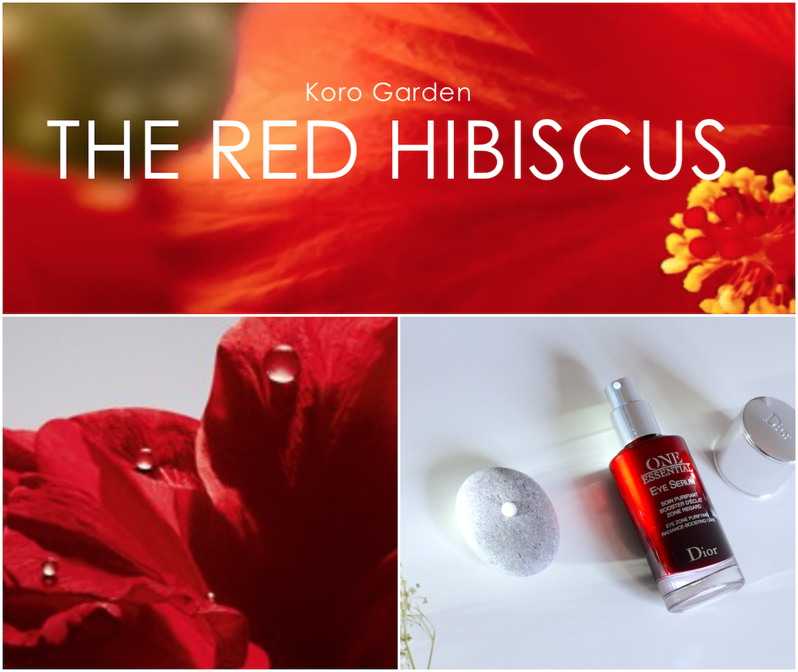 LUMINNEJ Malaysian Lifestyle & Beauty Lifestyle Illuminated