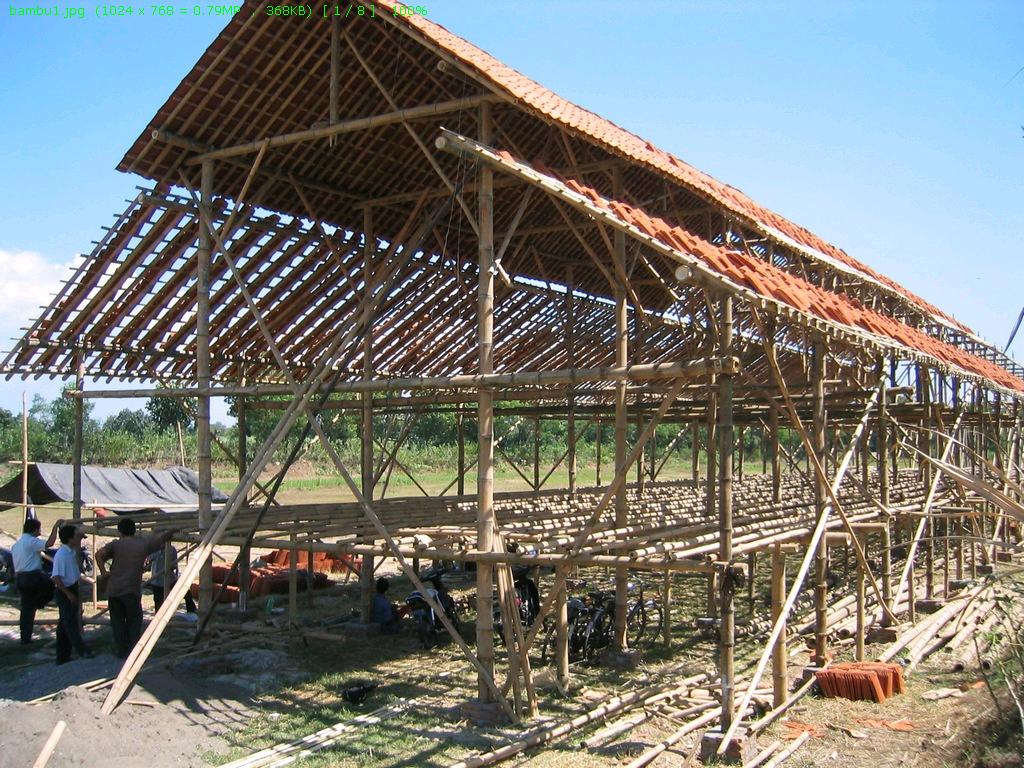 Blog Anak Rantau Belajar Beternak Ayam Broiler 3 (Pamit)