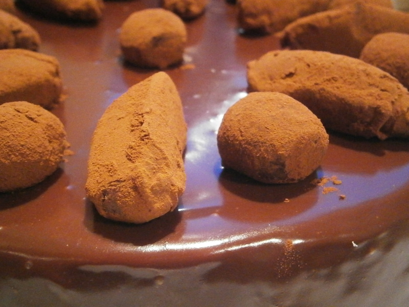 Witchetty Grub Chocolate Orange Truffle Cake