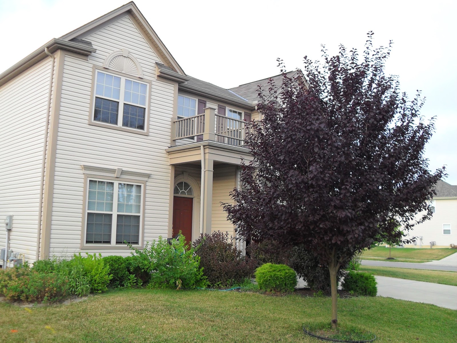MY LIFE BY DESIGN: landscaping update: the front yard...