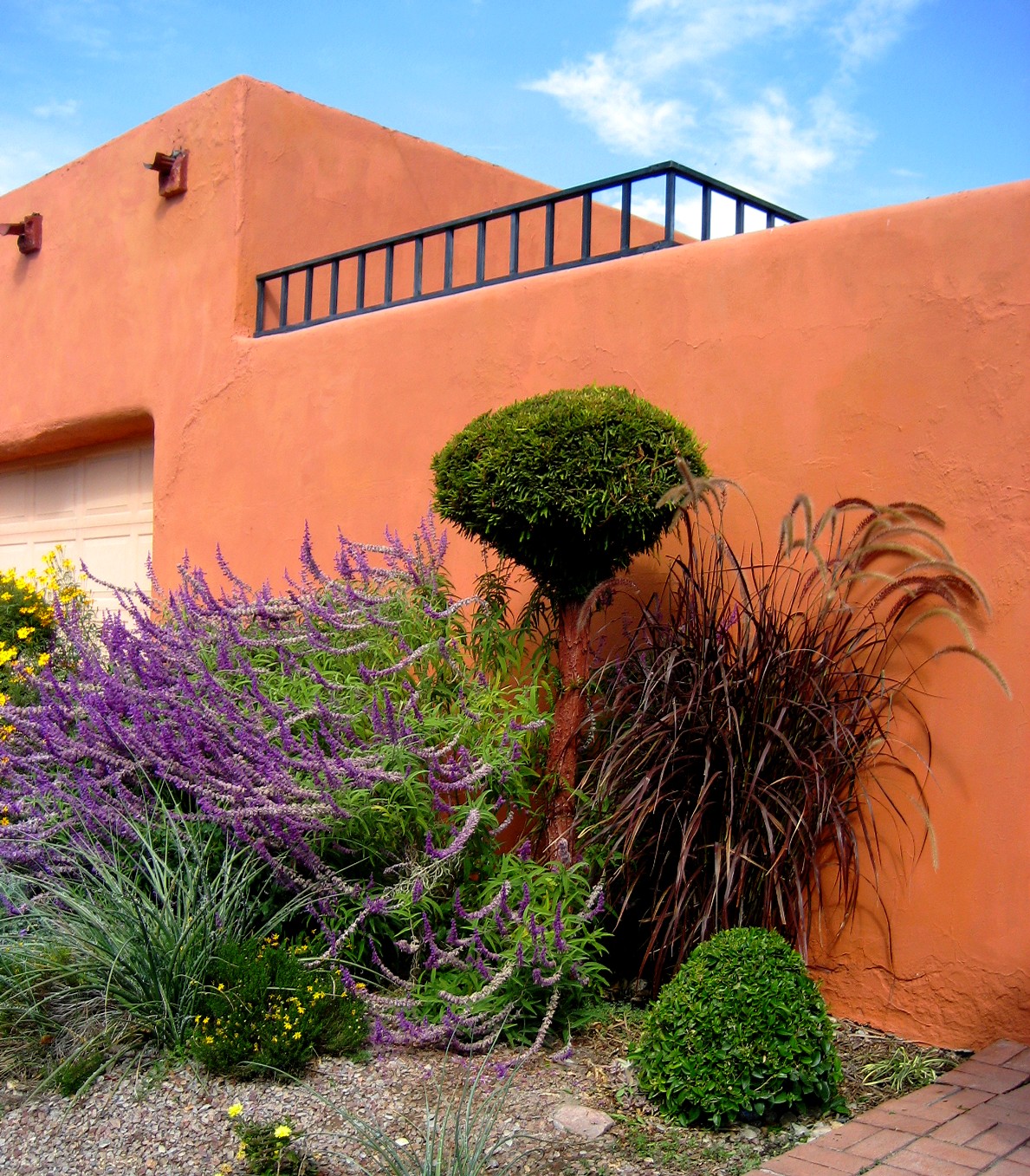 Living Rootless Mesilla, New Mexico Dia de los Muertos