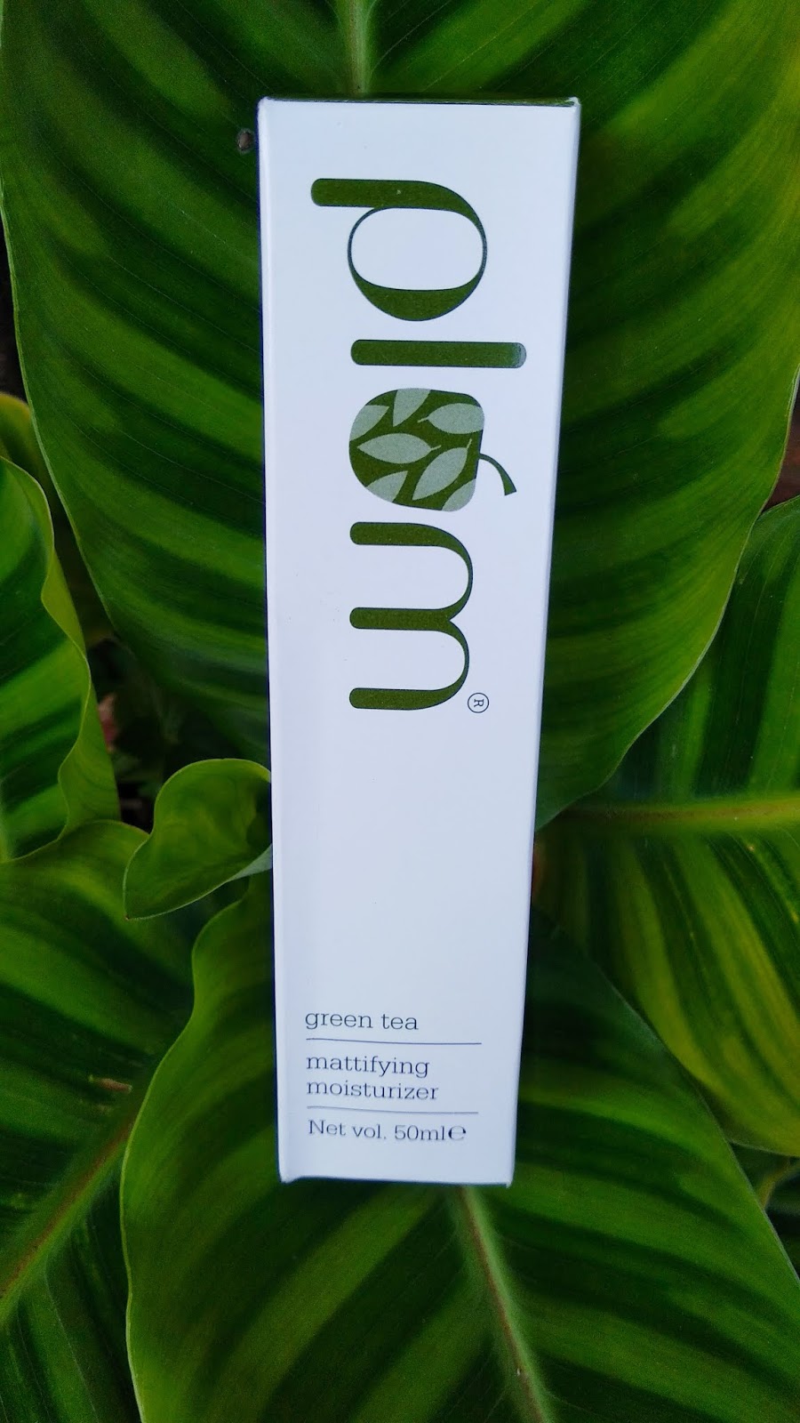 PLUM GREEN TEA MATTIFYING MOISTURIZER REVIEW BEST FOR OILY SKIN My