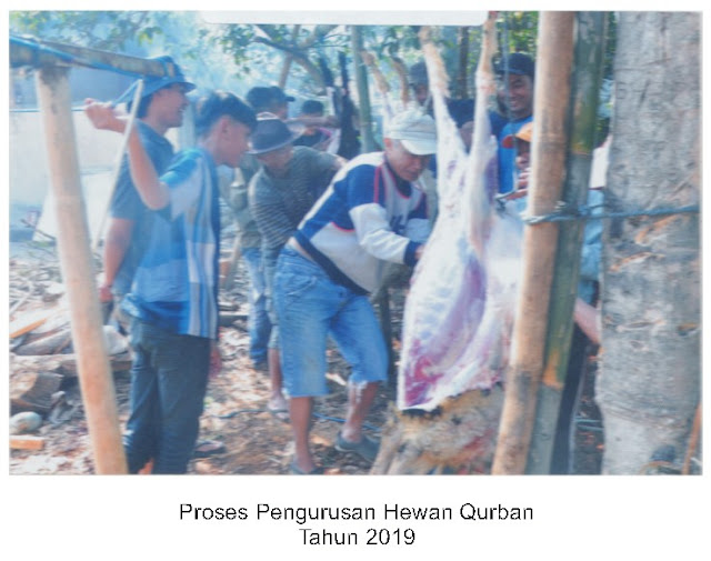 Proses Pengurusan Hewan Qurban - 2019