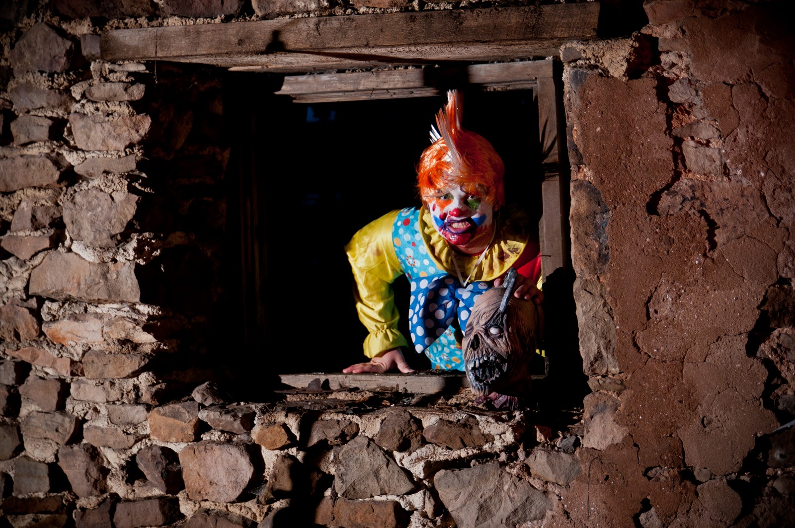 Pretty Purplexing Colonial Gardens