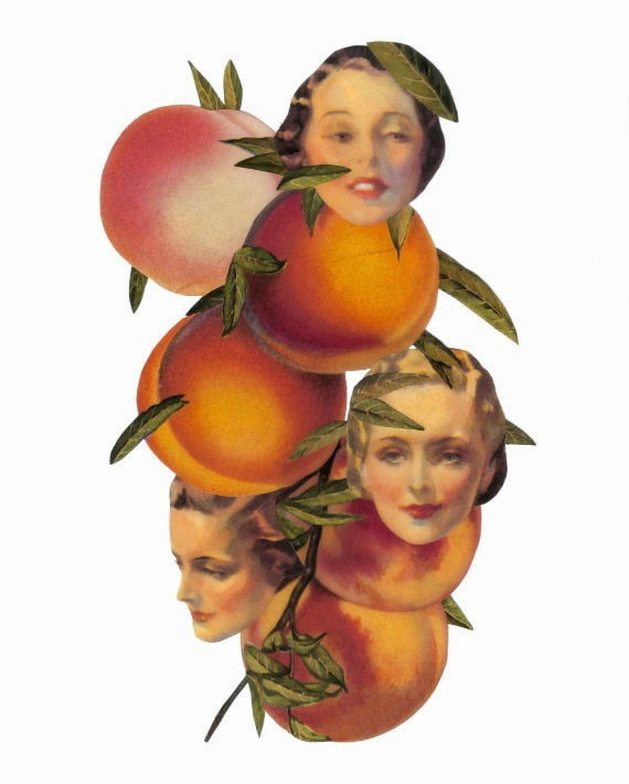 Dadadreams Original Collage Art Fruit Art Collage dadadreams-original-collage-art-fruit-art-collage