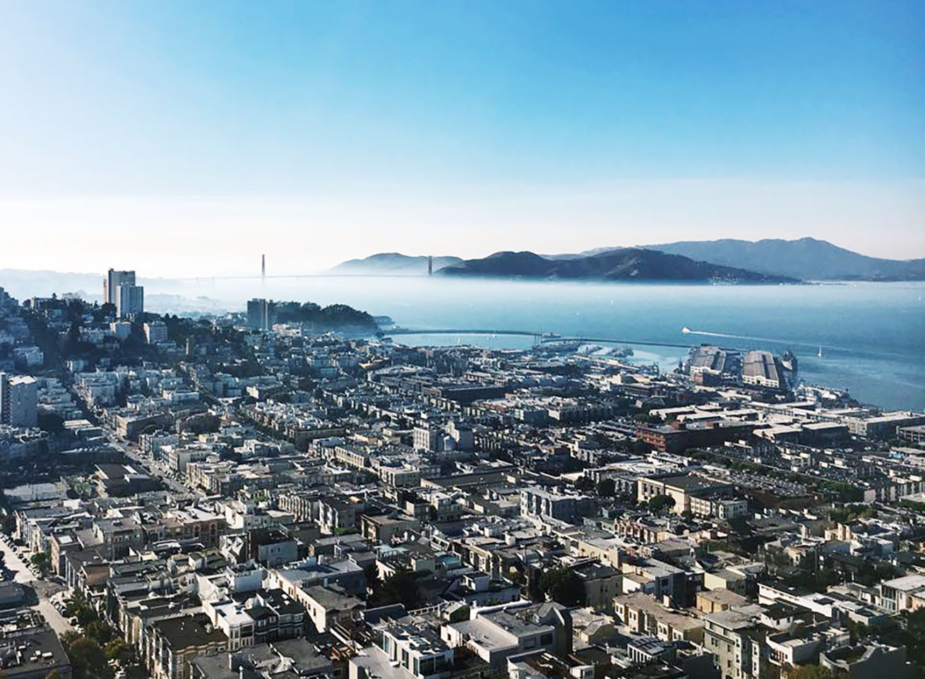 view from coit tower, San Francisco