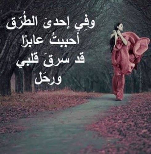 اجمل الصور المعبرة عن الوفاء الحقيقى والاخلاص والحب