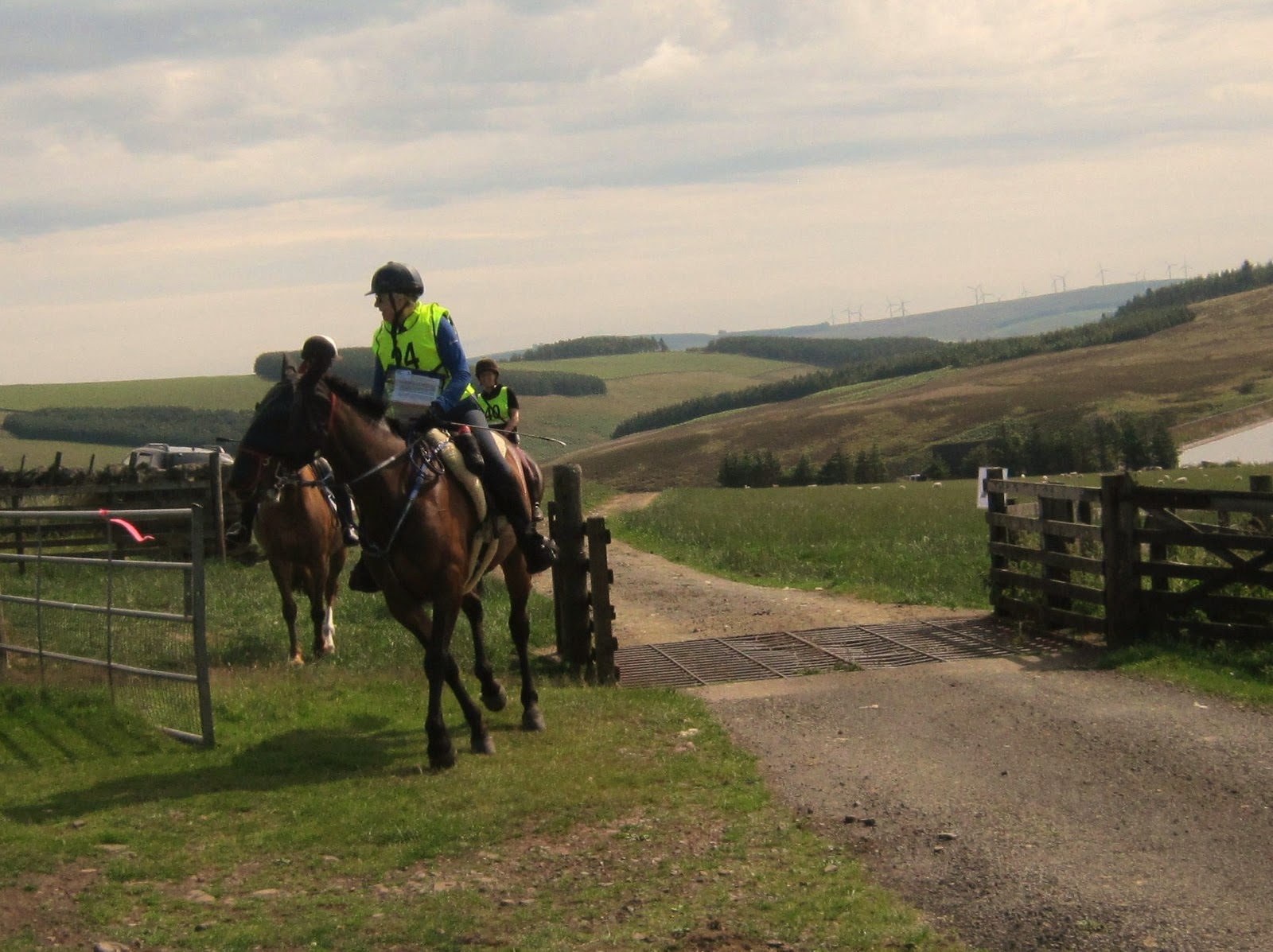 coastrider Lammermuirs Horse Endurance ride, Broom Wagon 30km ride...
