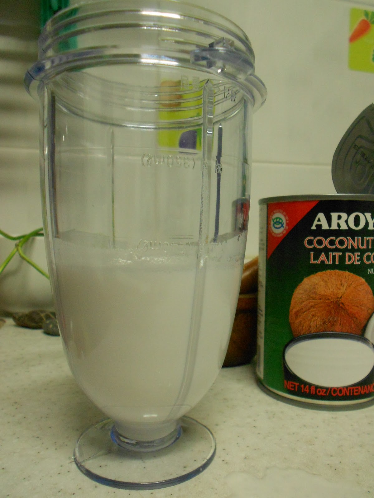 Coconut Milk for Natural Hair TravelingNatural