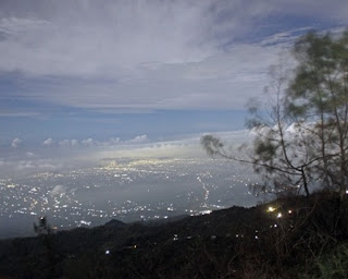 Bukit Kembang Lumbang Probolinggo