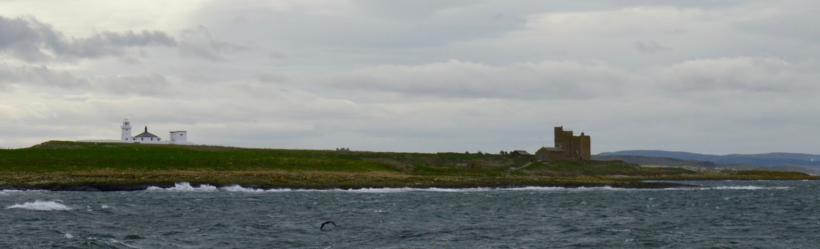 Farne Island Boat Trips with Serenity | A review and what to expect with kids