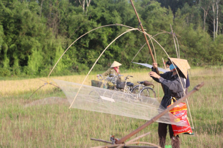 Hang ngan nguoi doi nang bat ca cau may - Anh 3