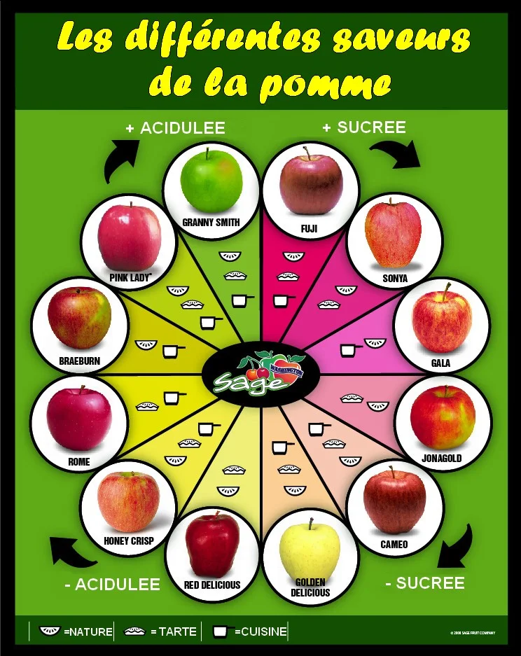 Les differentes saveurs de la pomme. ~ Général Kulture!