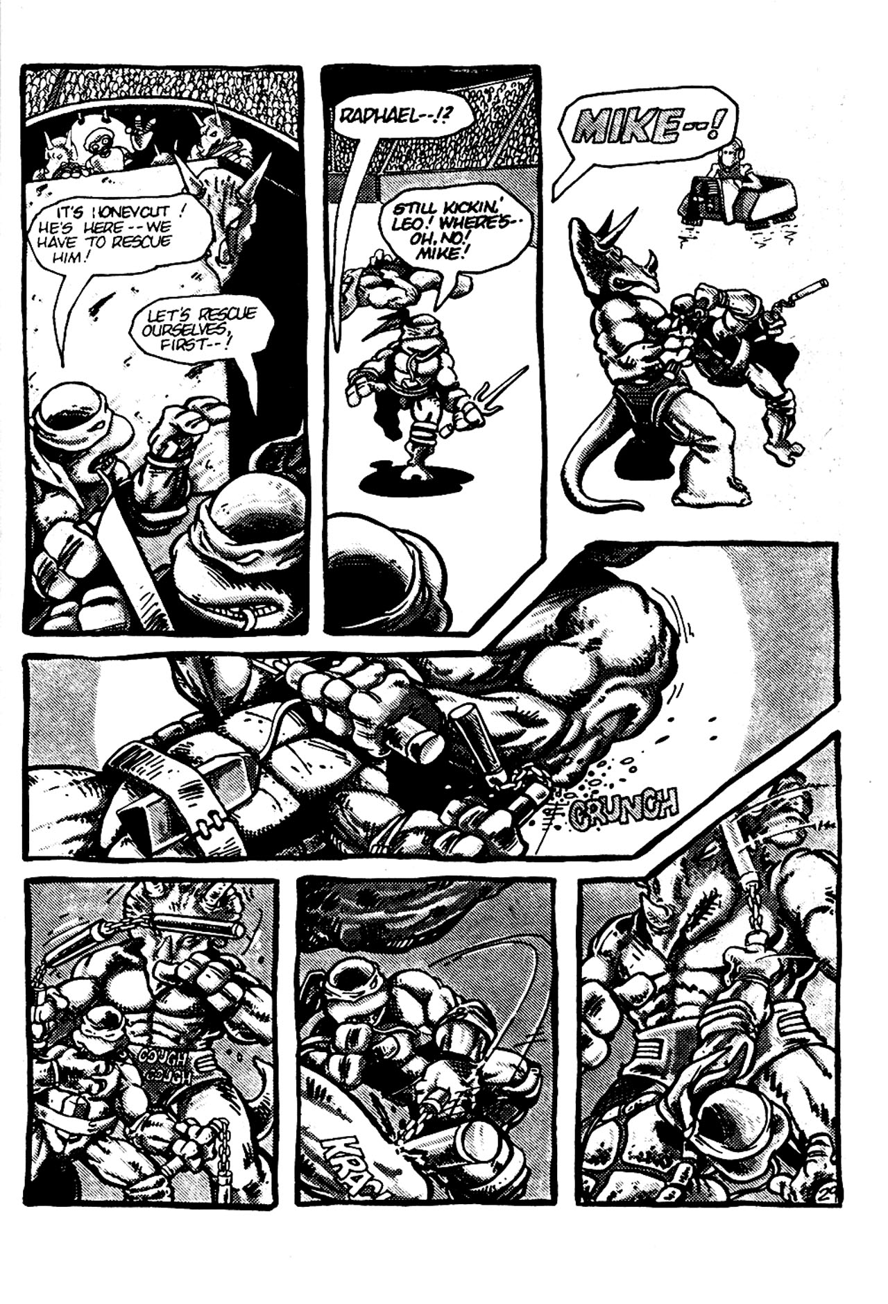 Teenage Mutant Ninja Turtles (1984) Issue #6 #6 - English 31