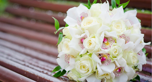 rose day rose rose day rose