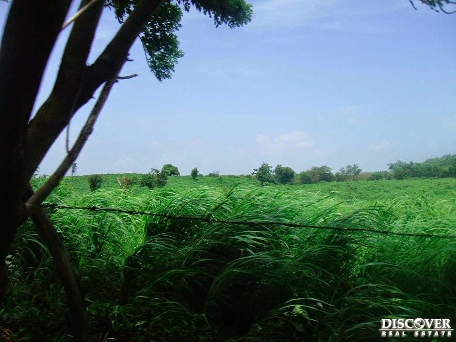 Nicaragua Farms for Sale Nicaragua Land for Sale Farm for sale in