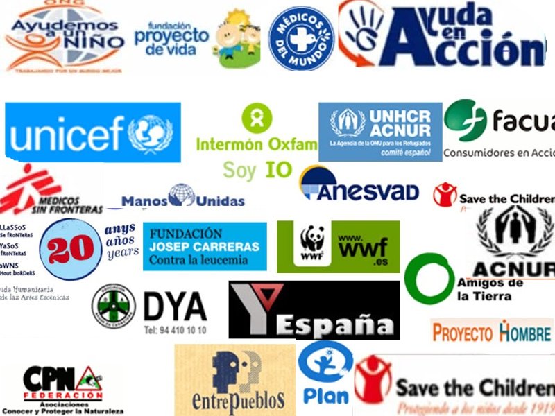 Las ONG en Bolivia