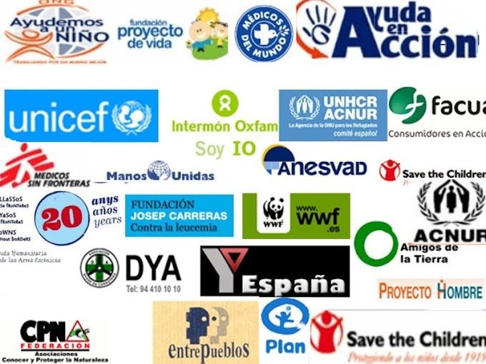 Estudio dice que ONG en Bolivia son presionadas
