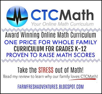 CTCMath Online Math Curriculum Review