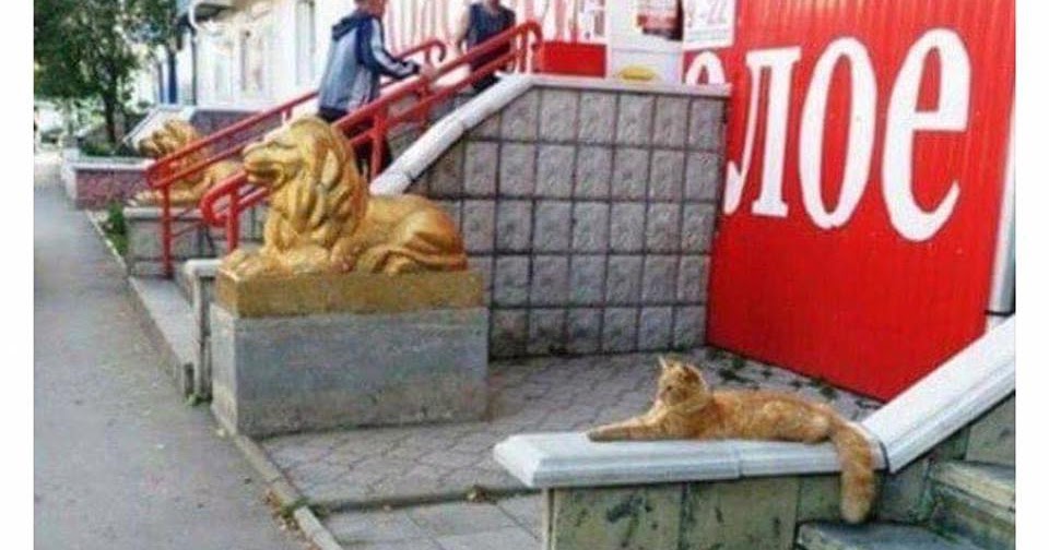 lying on your resumes