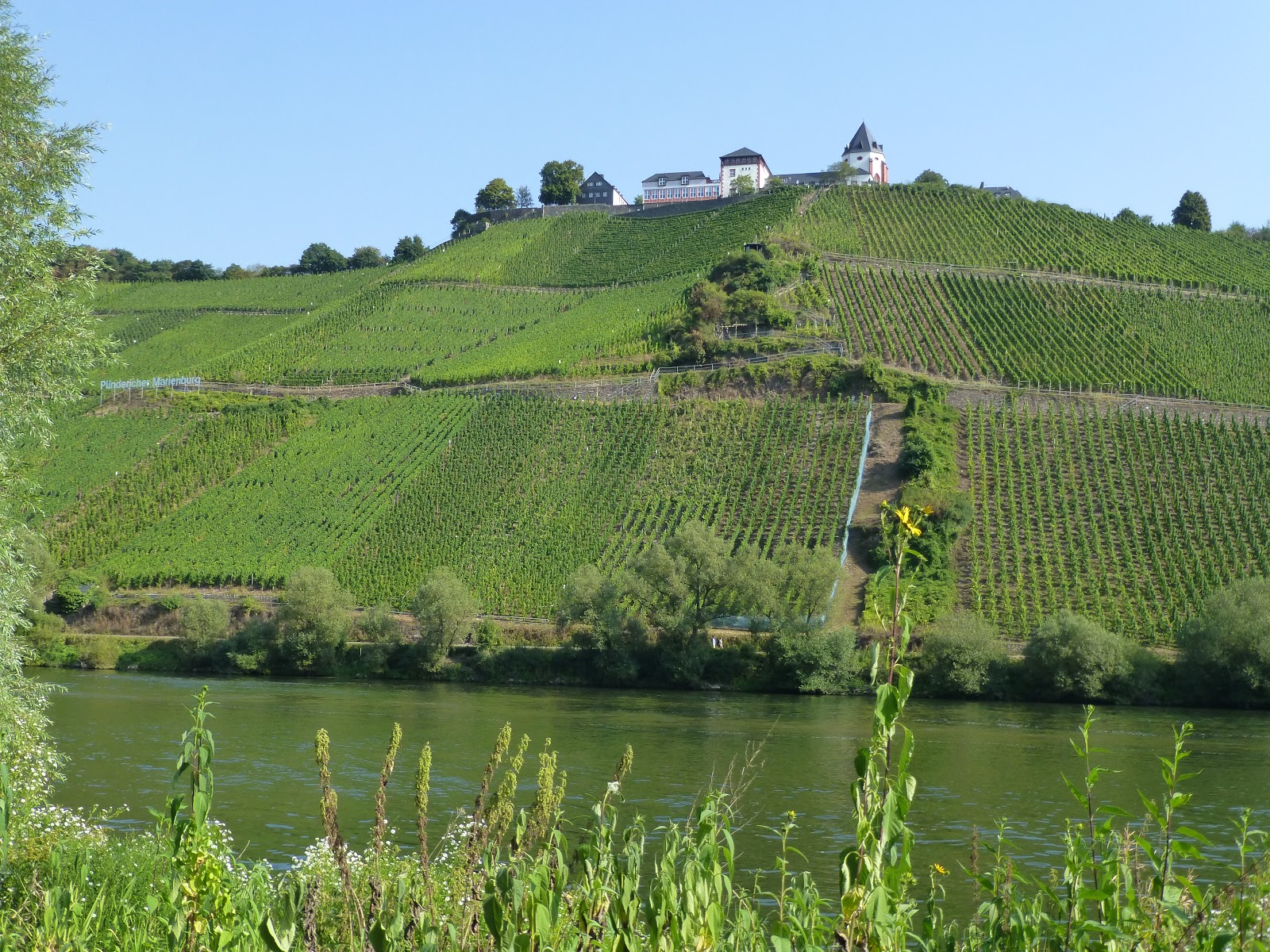 Axel Unterwegs Mosel Radtour 2016 Wanderung Von Bernkastel Kues