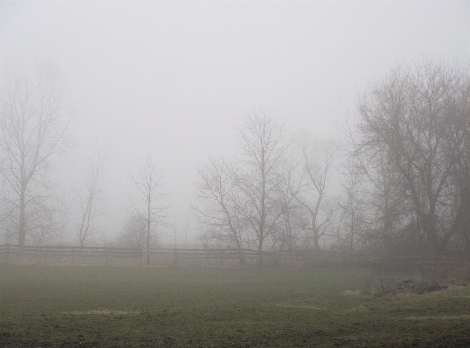 THE SKOOG FARM JOURNAL The Foggy Foggy Dew....