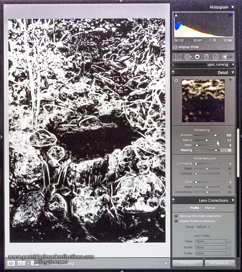 Getting it Right in the Digital Camera Sharpening in Lightroom CC