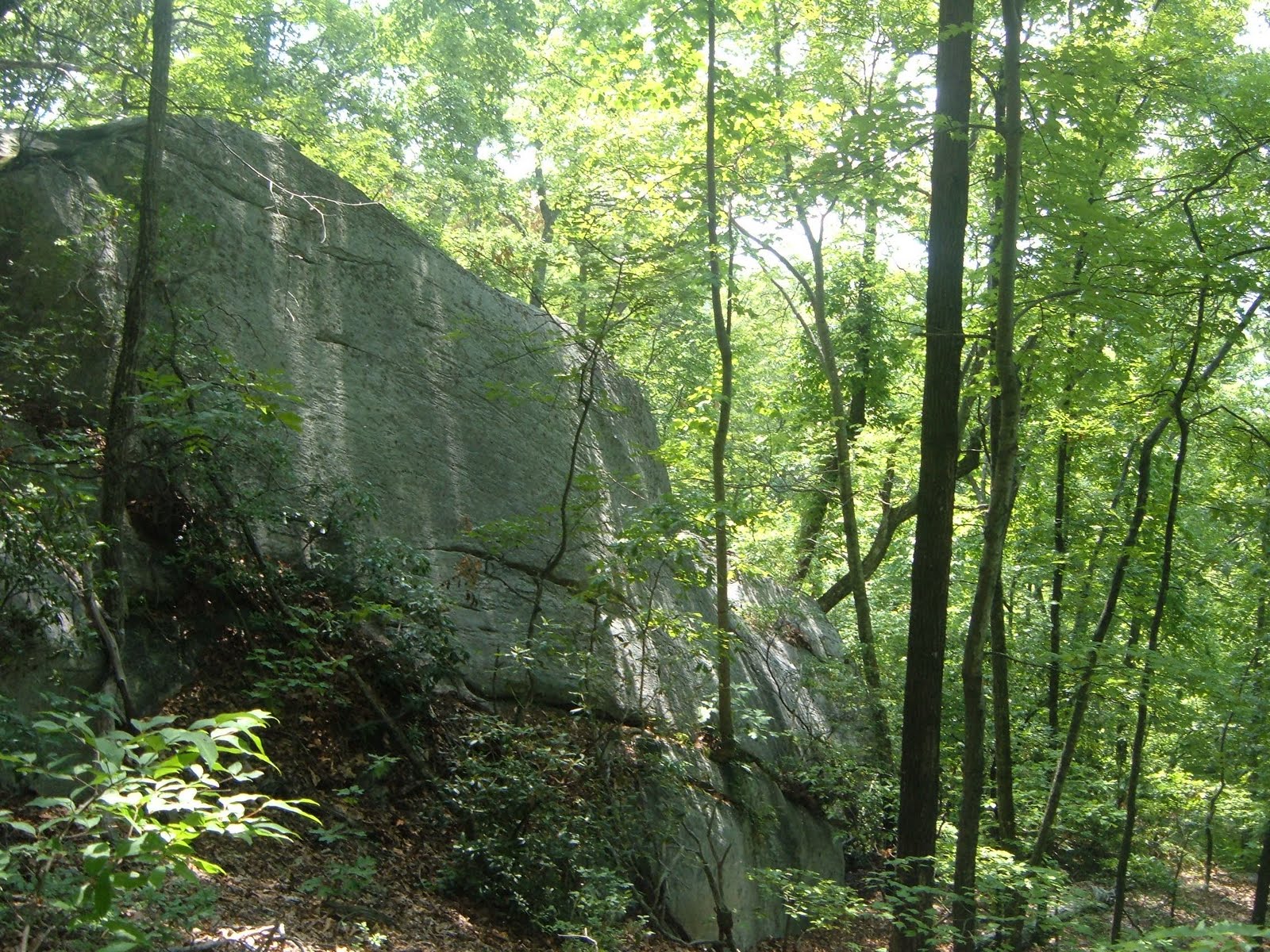 backpacking-carolina-table-rock-state-park-table-rock-trail