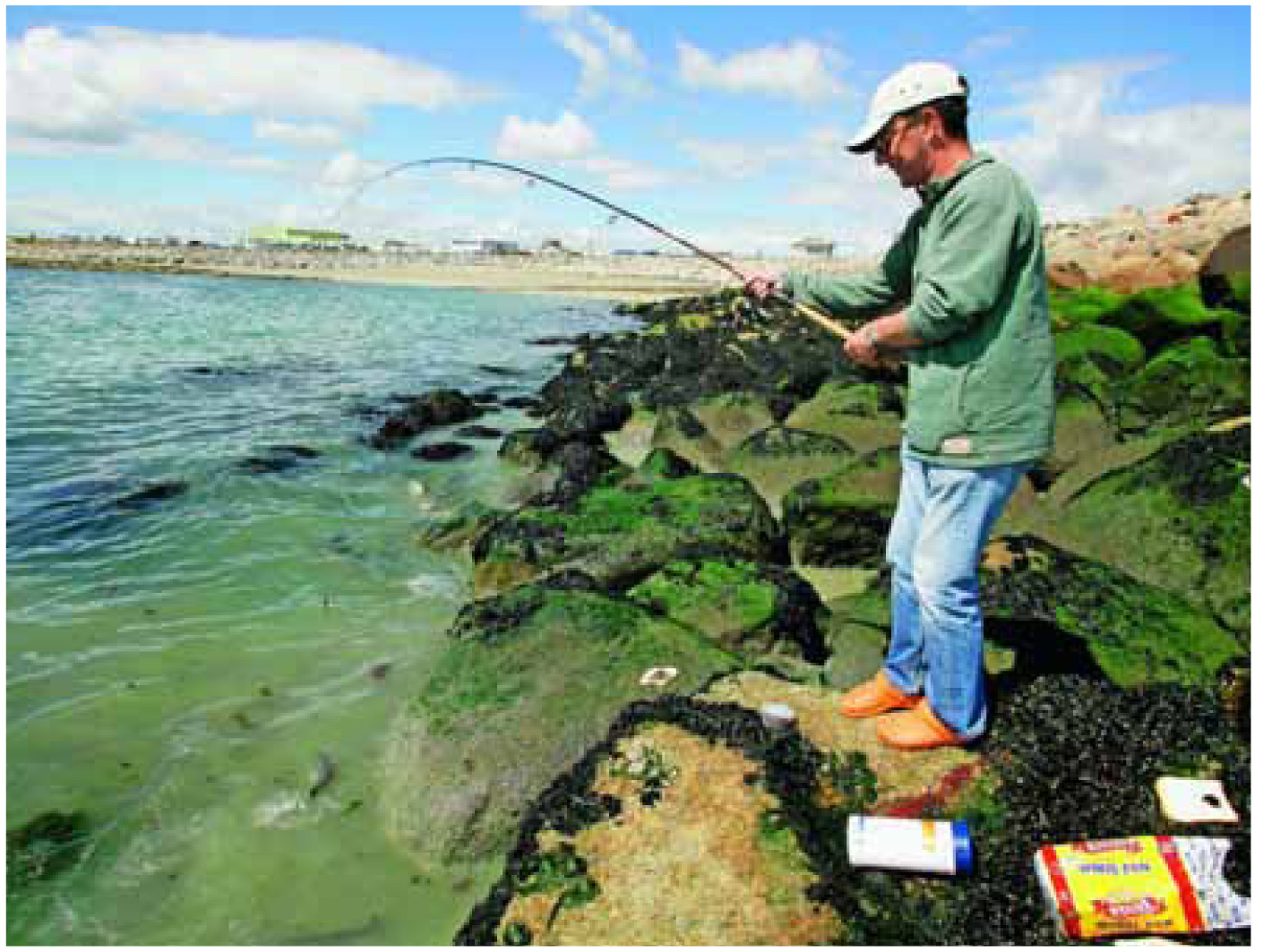 How To Fish For Mullet Fishingmegastore Blog