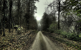 High Resolution Nature Wallpaper 