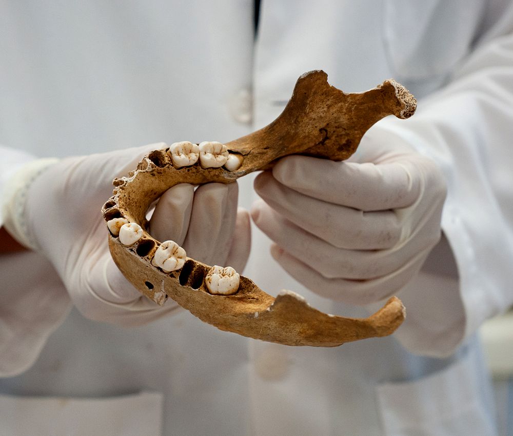 What is FORENSIC ODONTOLOGY? Directorio Odontológico