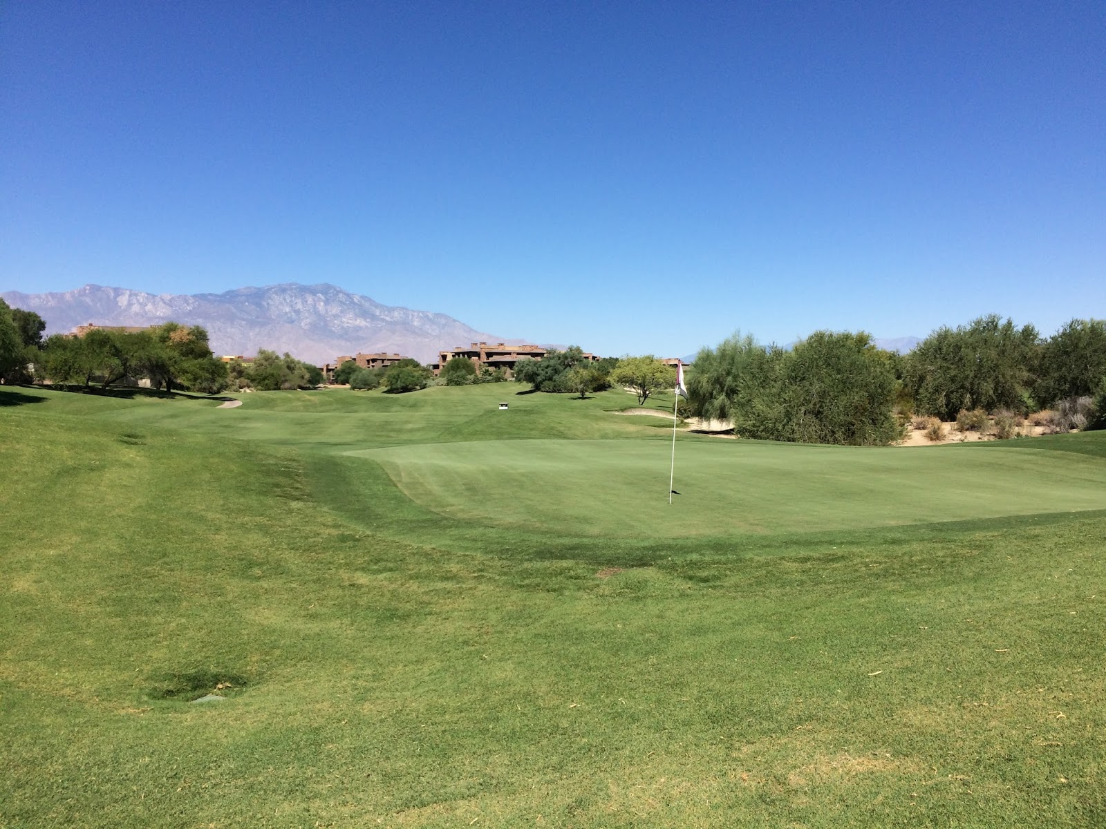 ReGripped Golfing Desert Willow Mountain Review