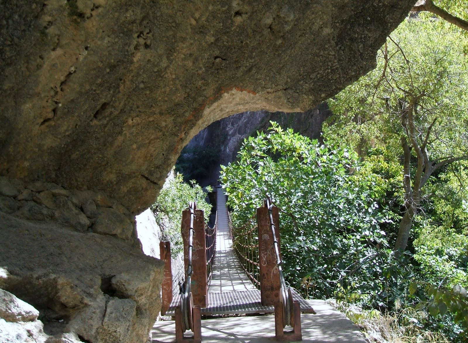 Aprender latín Pie pellicane, Iesu Domine, me immundum munda tuo