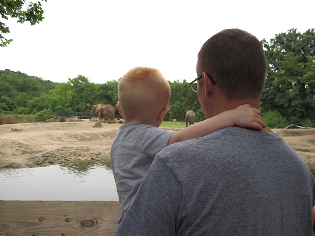 Porter & Daddy Looking at the Elephants
